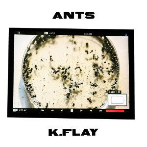 Ants